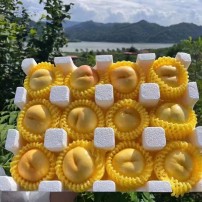 丹东大金蜜  10-12枚4.5斤