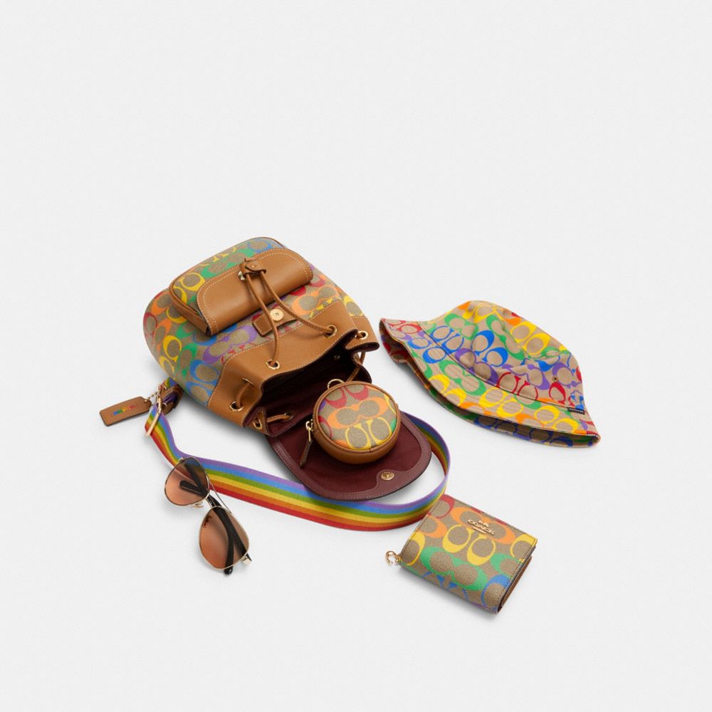COACH Pennie Backpack 22 In Rainbow Signature Canvas