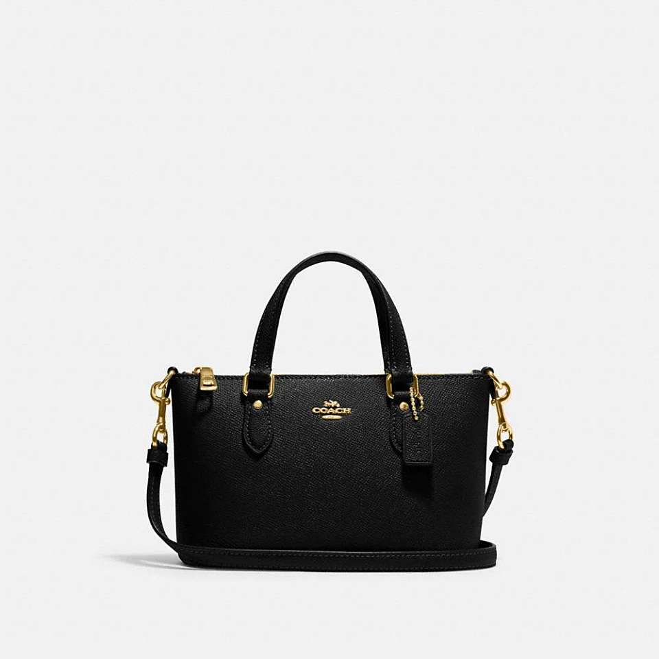 coach-mini-gallery-ch198