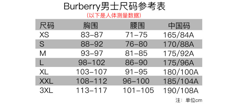 男款】 Burberry 巴宝莉男士深蓝色格纹短袖衬衫3891227 - 全民海淘纵有等待,终究值得